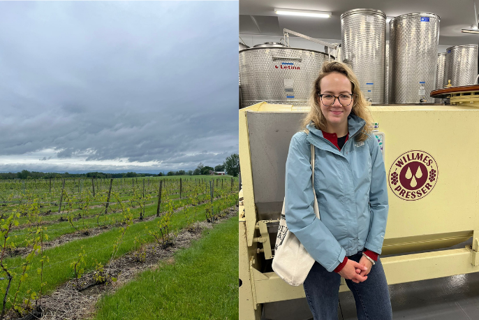 Two photos together. On the left is a picture of rows of grapes in a vineyard, with a cloudy sky above. On the right a white woman with shoulder-length curly blonde hair stands in front of a wine fermentation barrel. The barrel is cream and a logo in marron reads Willmes Presser.