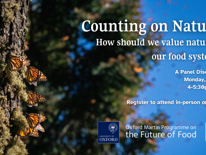 counting on nature table event 2 june