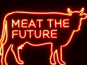 meat the future