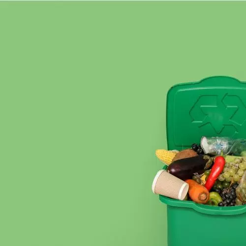 A green background with a green bin filled with fruits, vegetables, and a coffee cup, on the right