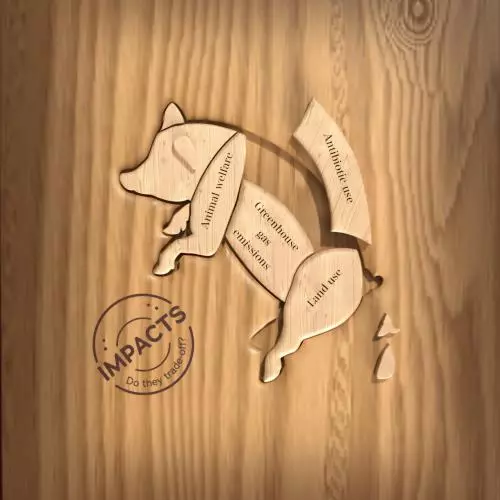 A wooden pig with four removable elements labeled animal welfare, greenhouse gas emissions, antibiotic use, and land use