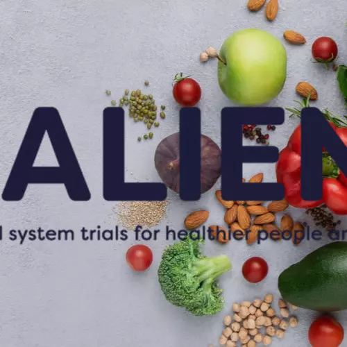 Salient project logo showing a brown bag of groceries 