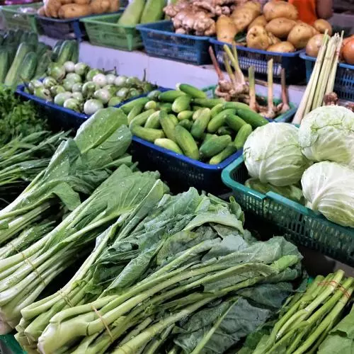 market 3176255