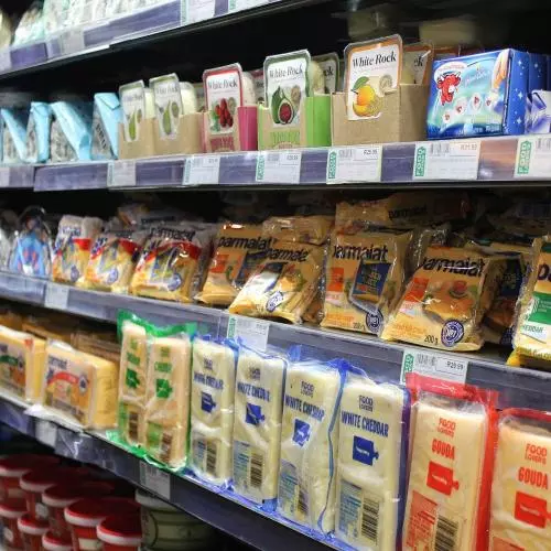 cheese 2725235