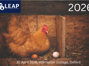 A brown chicken sits on an egg in a wooden box. There is a white egg lying to one side and straw underneath.