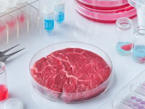 lab meat adobestock
