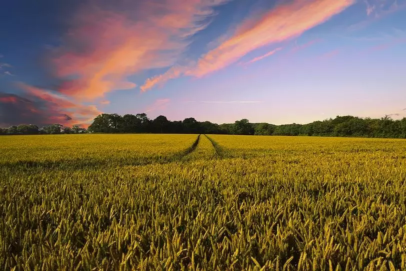 countryside 2326787 960